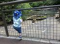 2010-05-29 12.37.56